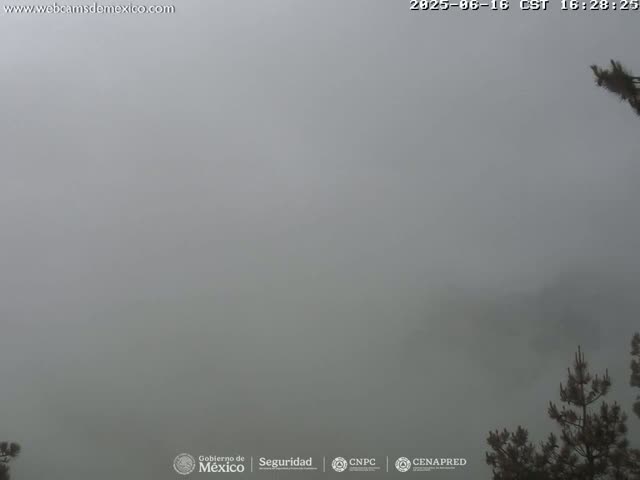 Volcán Popocatepetl Volcano from Tlamacas Live Cam  - San Nicolas de los Ranchos, Puebla, Mexico