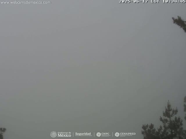 A dense fog obscures the view of a landscape featuring the tops of a few pine trees in the bottom right corner.
