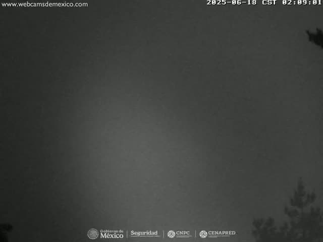 A dark, overcast night scene shows a sliver of trees at the bottom right corner.