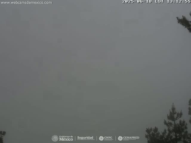 Volcán Popocatepetl Volcano from Tlamacas Live Cam  - San Nicolas de los Ranchos, Puebla, Mexico
