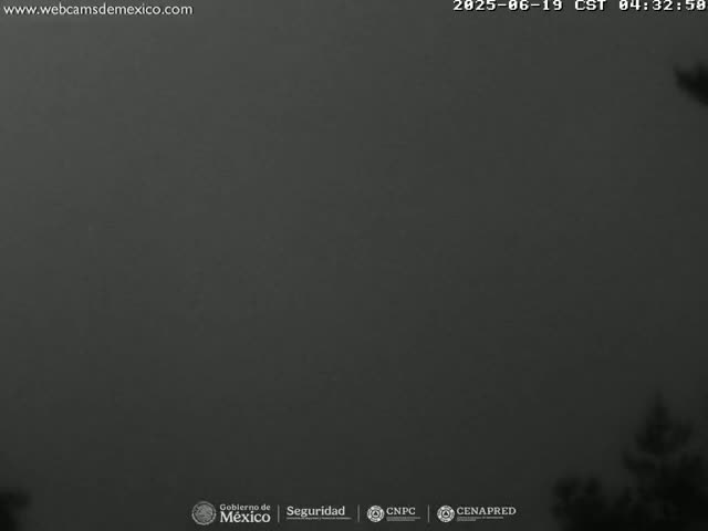 A dark gray, overcast sky is visible, with a sliver of dark trees in the bottom right corner.