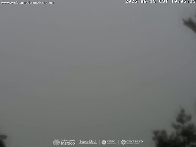 A foggy outdoor scene shows a muted gray sky and the tops of dark green trees at the bottom of the frame.