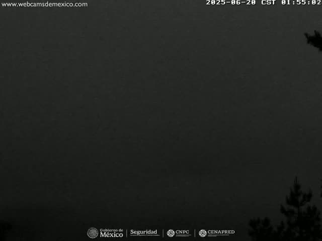 A dark, overcast sky is visible above some dark silhouettes of trees at night.