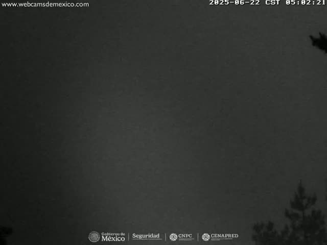 A dark, nighttime sky is shown with the top of some dark trees visible in the bottom right corner.