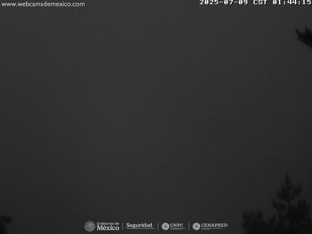 A dark, overcast sky is visible above a silhouetted line of trees.