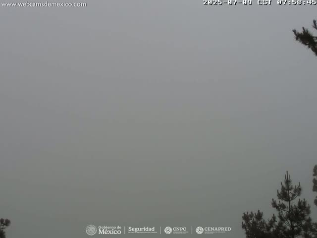 Volcán Popocatepetl Volcano from Tlamacas Live Cam  - San Nicolas de los Ranchos, Puebla, Mexico