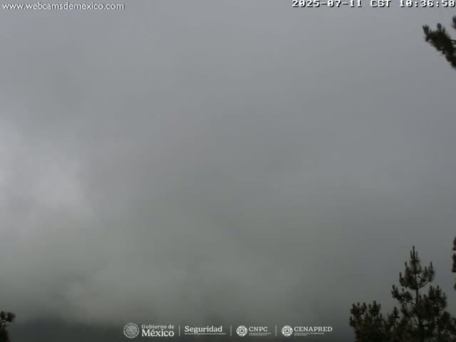 Volcán Popocatepetl Volcano from Tlamacas Live Cam  - San Nicolas de los Ranchos, Puebla, Mexico