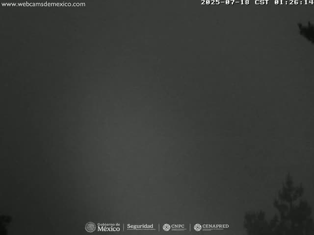 A dark, overcast night sky is visible above a silhouetted line of trees.