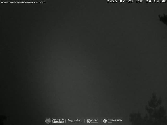 A dark, overcast night sky is visible above a silhouetted line of trees.