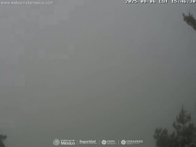 A thick fog obscures the view of a landscape, with only the tops of some coniferous trees visible at the bottom right.