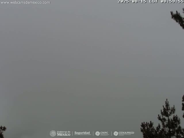 A thick fog obscures the view of a landscape, with only the tops of some coniferous trees visible at the bottom right.