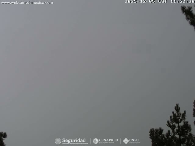Volcán Popocatepetl Volcano from Tlamacas Live Cam  - San Nicolas de los Ranchos, Puebla, Mexico