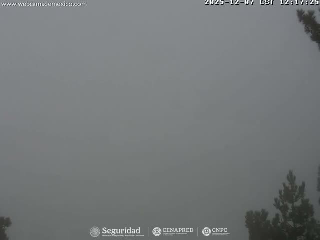 Volcán Popocatepetl Volcano from Tlamacas Live Cam  - San Nicolas de los Ranchos, Puebla, Mexico