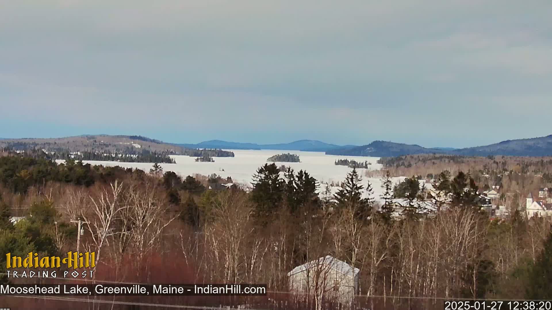 A snow-covered lake stretches to distant, snow-dusted mountains under a pale, overcast sky, viewed from a wooded hillside.
