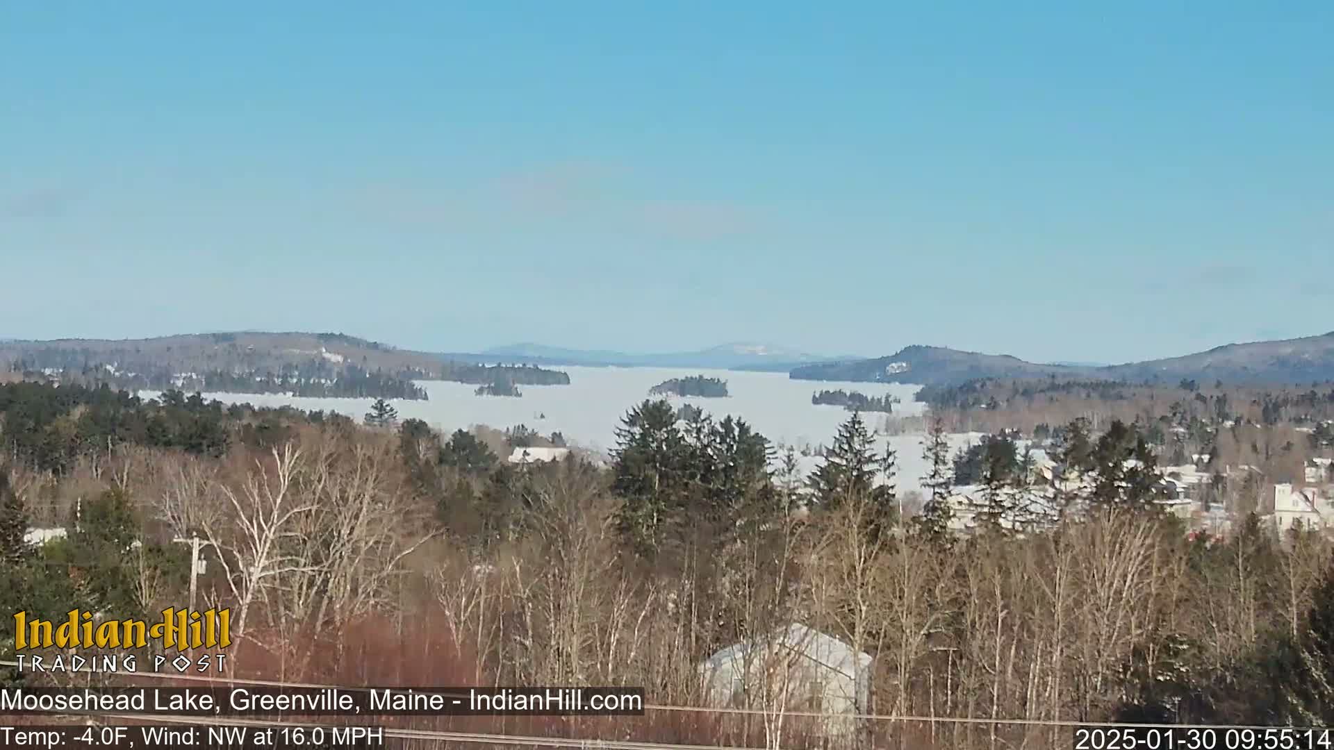 A snow-covered lake stretches to distant mountains under a clear blue sky, viewed from a snow-dusted, wooded hillside.