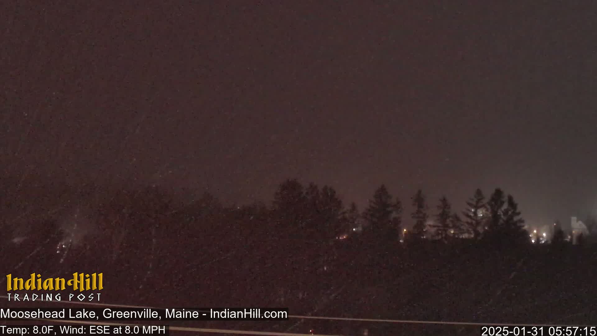 A nighttime scene of snow falling over a dark line of trees under a dark sky.
