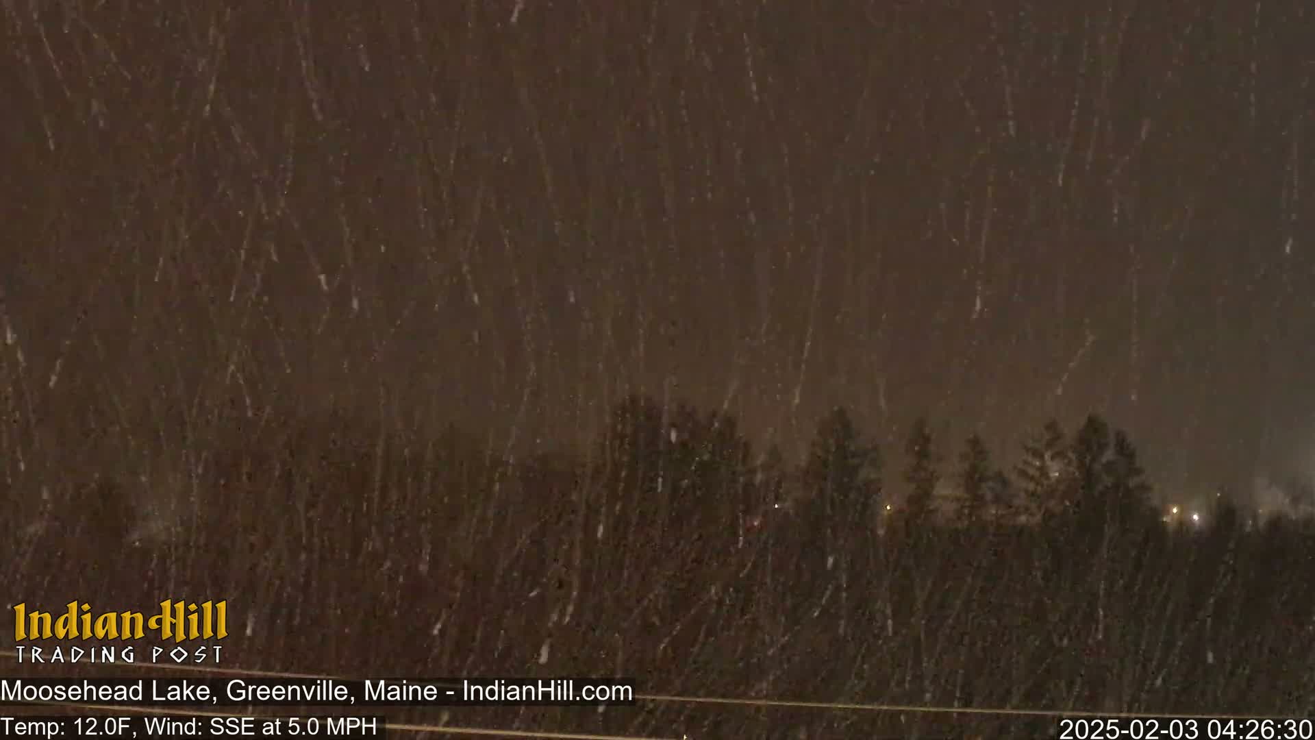 Snow falls heavily at night over a dark line of trees.