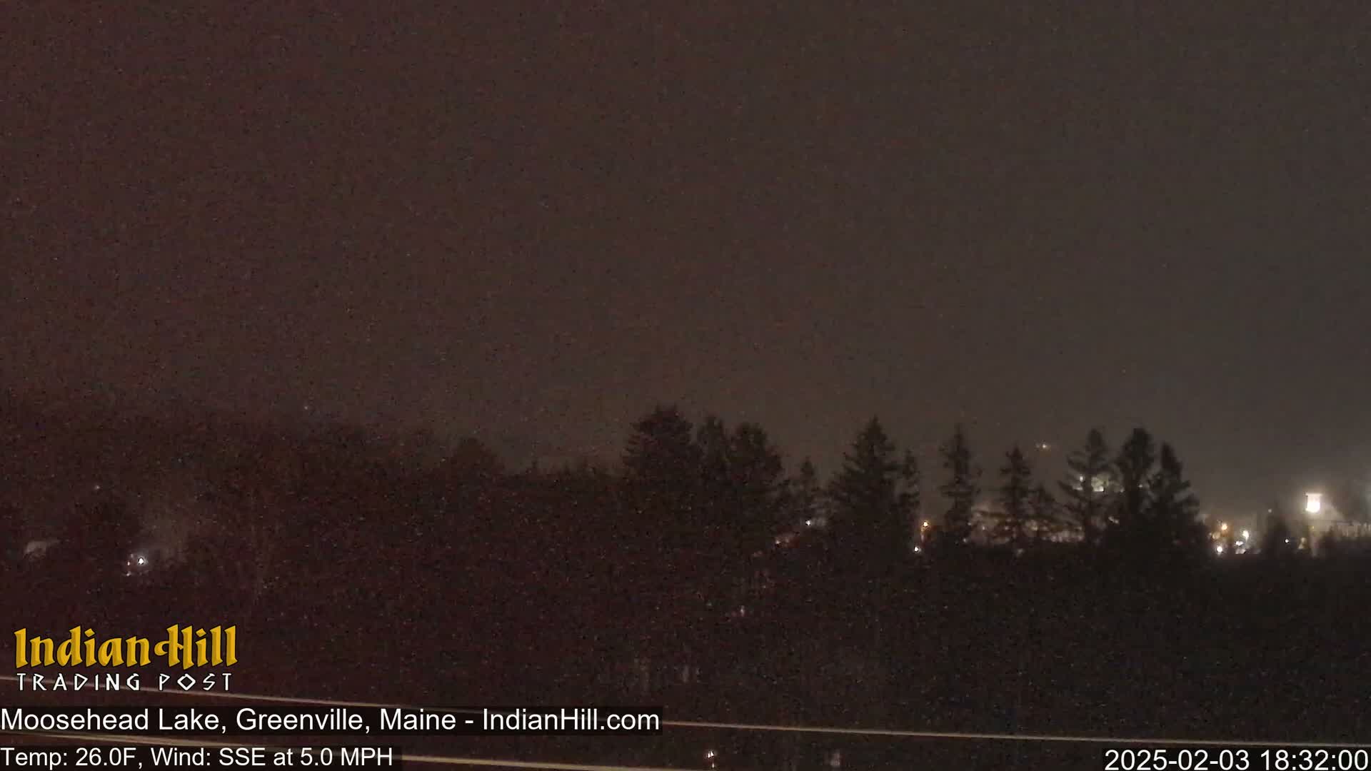 A nighttime scene of dark trees under a dark, snowy sky.