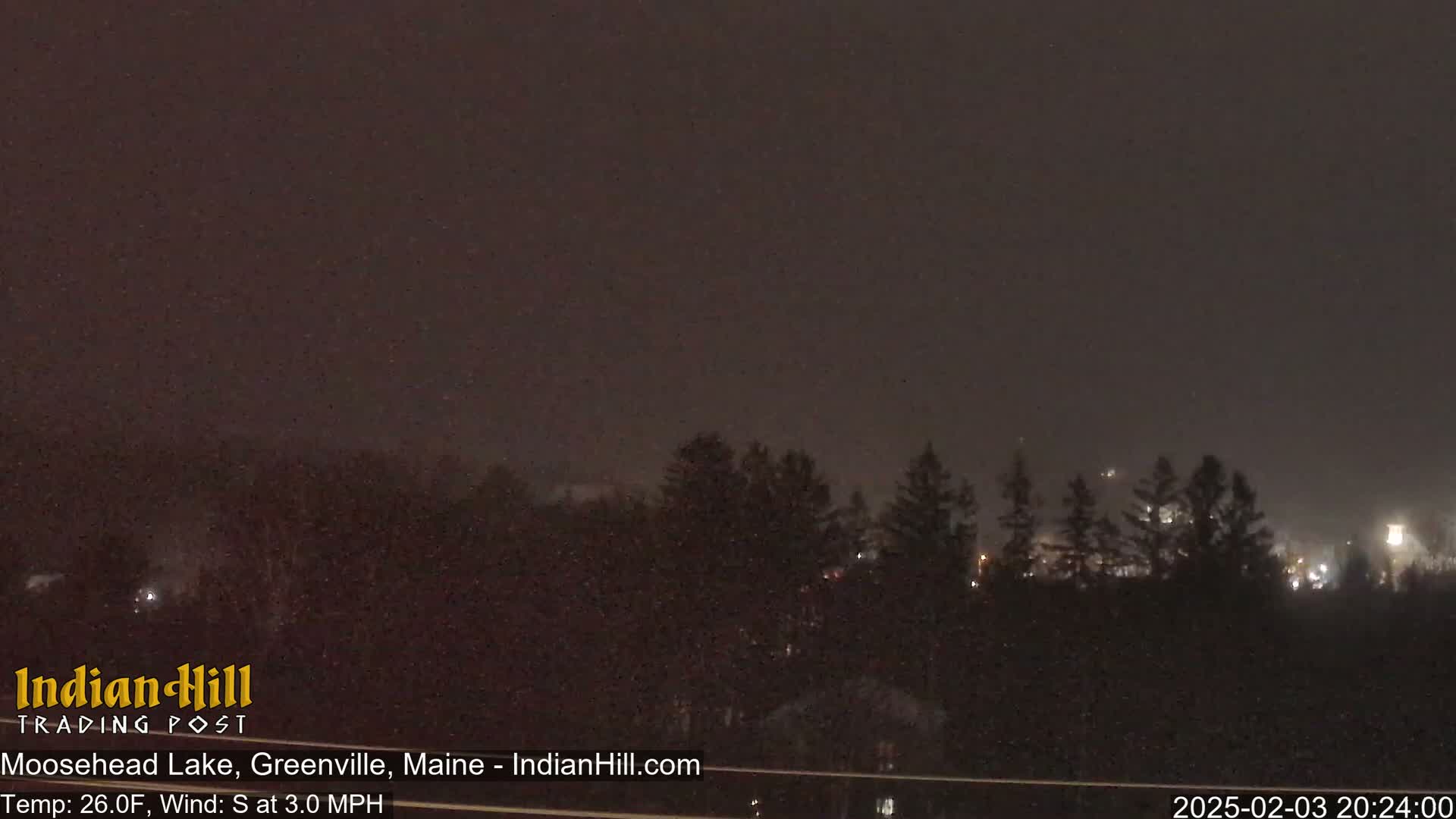 A nighttime, snowy scene shows a dark line of evergreen trees under a dark, snow-filled sky.