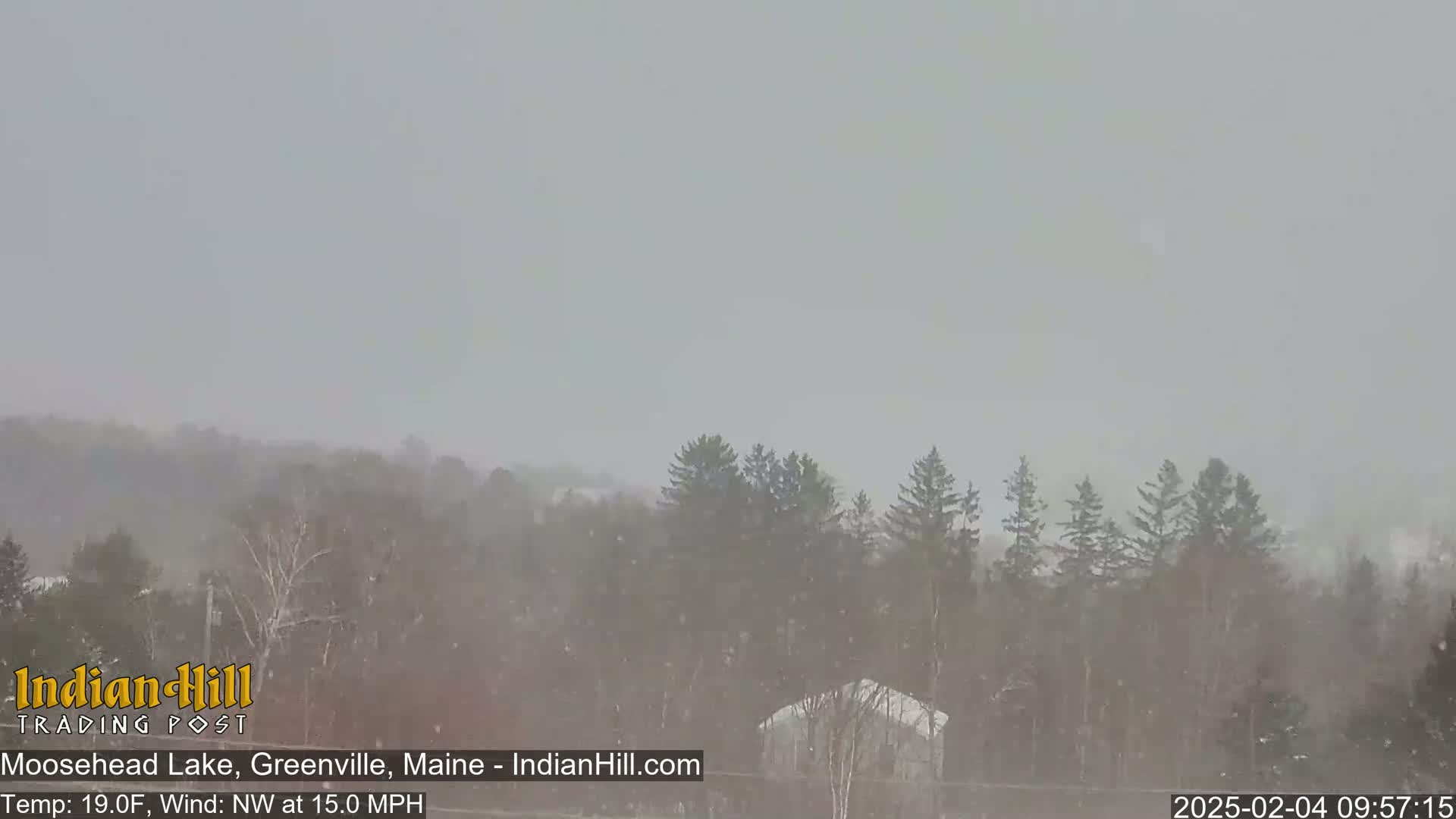 A snowstorm blankets a line of evergreen trees and a small building in the distance.