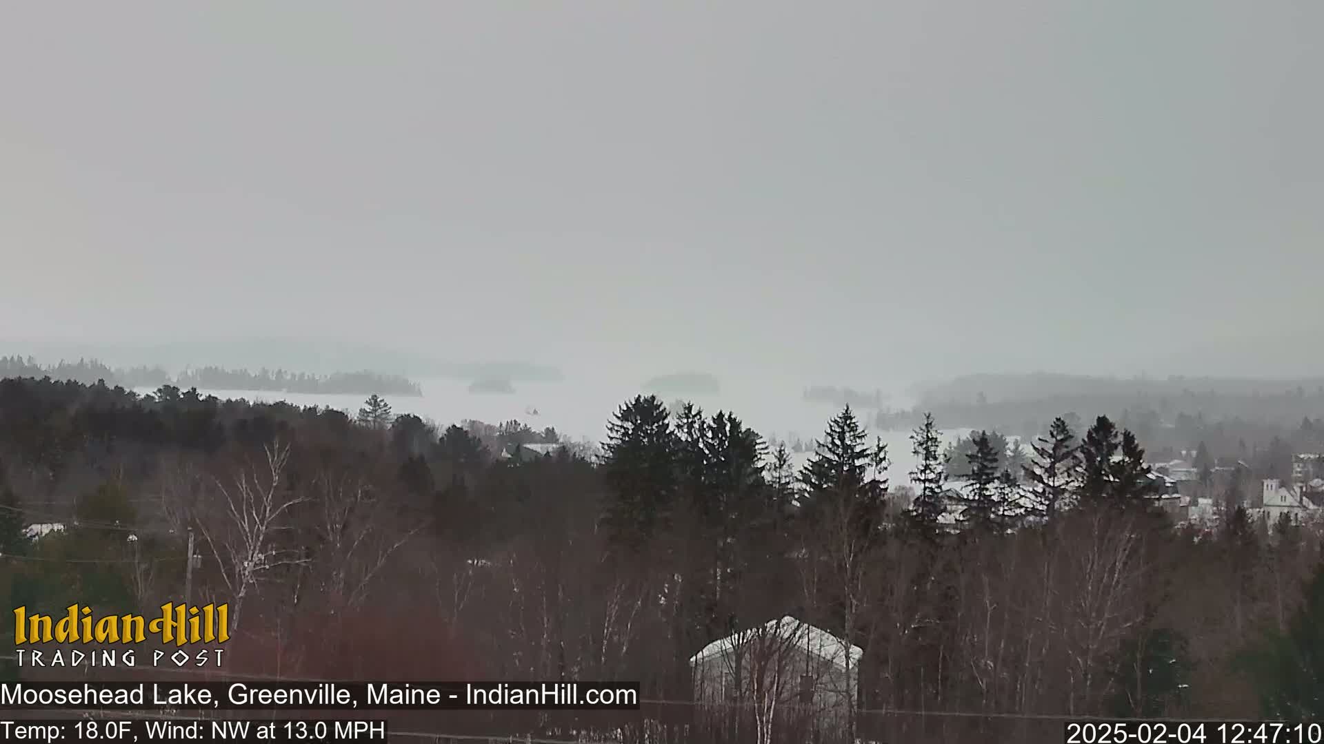 A foggy, snowy landscape shows a lake partially obscured by mist, with a forest of dark evergreens in the foreground.