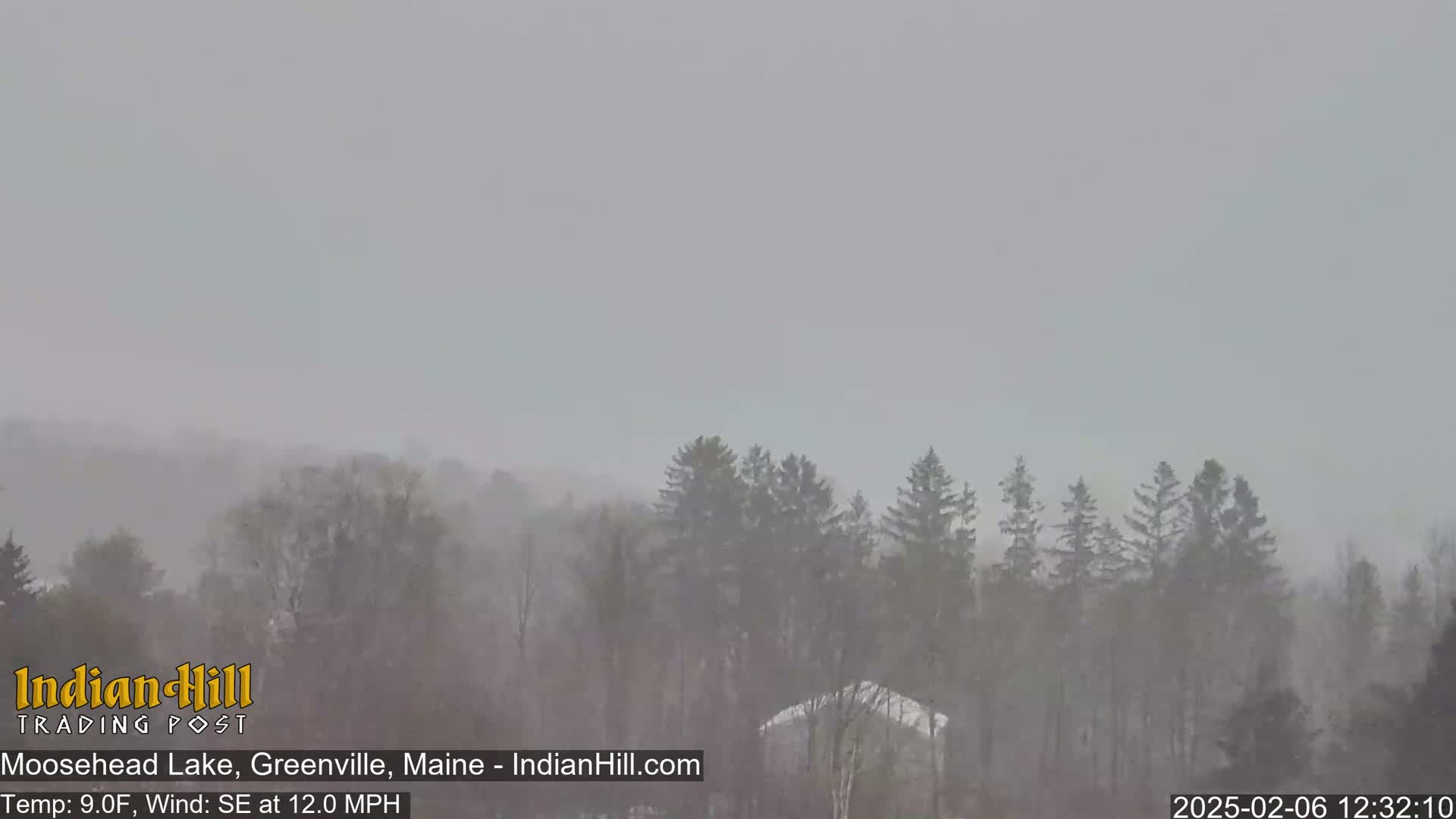 A snowy scene shows a line of evergreen trees in the distance under a gray, overcast sky.
