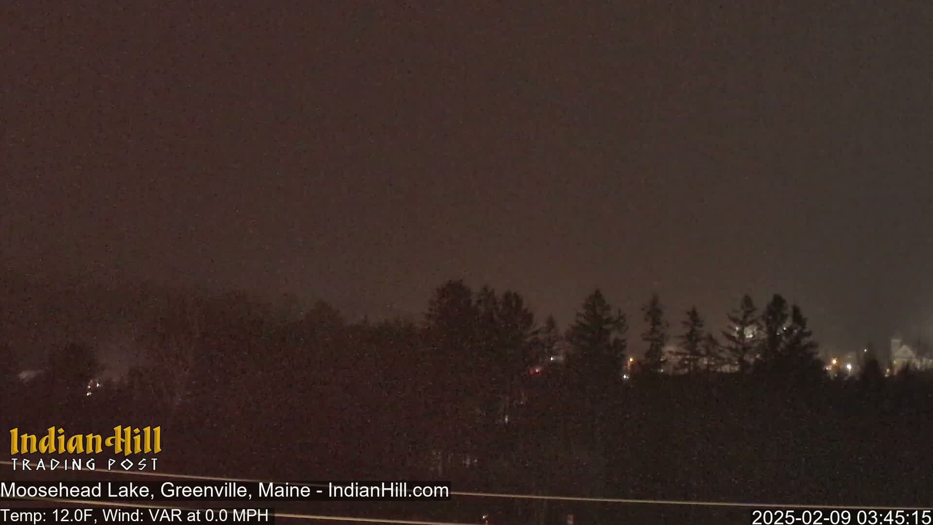 A nighttime view of a snow-covered landscape showing a dark sky and a line of dark trees in the distance under light snowfall.