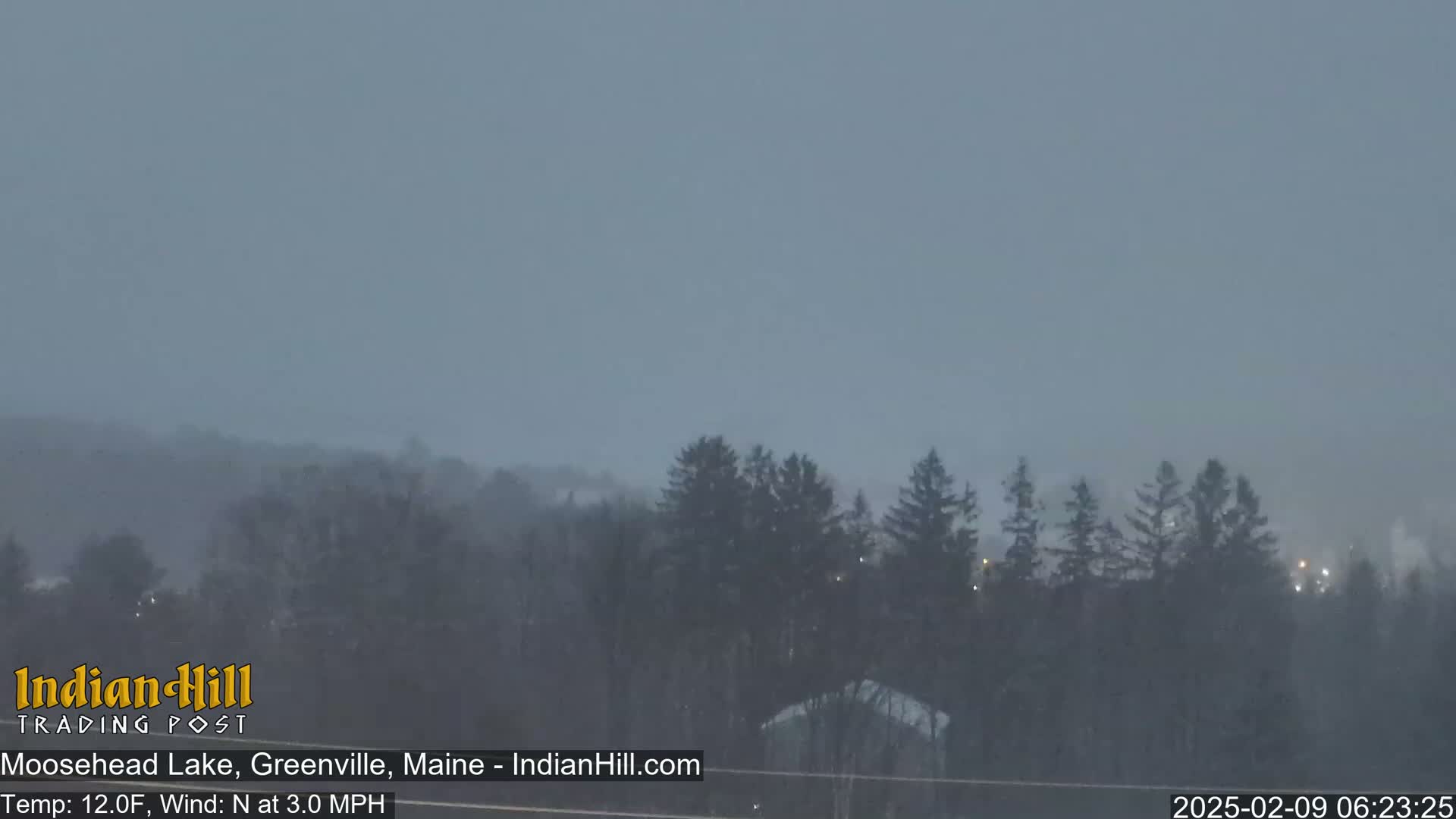 A snowy scene shows a line of evergreens in the middle ground with a hazy, indistinct background under a gray sky.