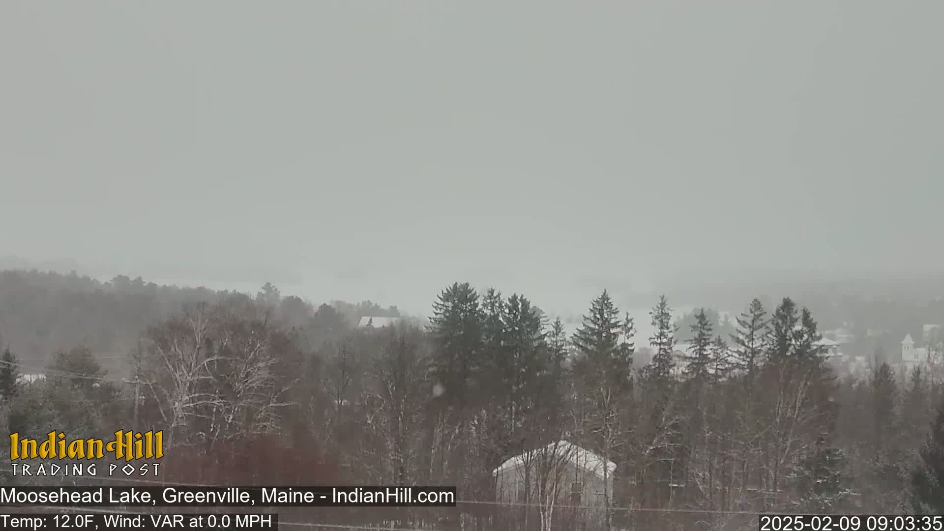 A snowy landscape showing a lake and snow-covered trees and buildings in the distance under a gray, overcast sky.