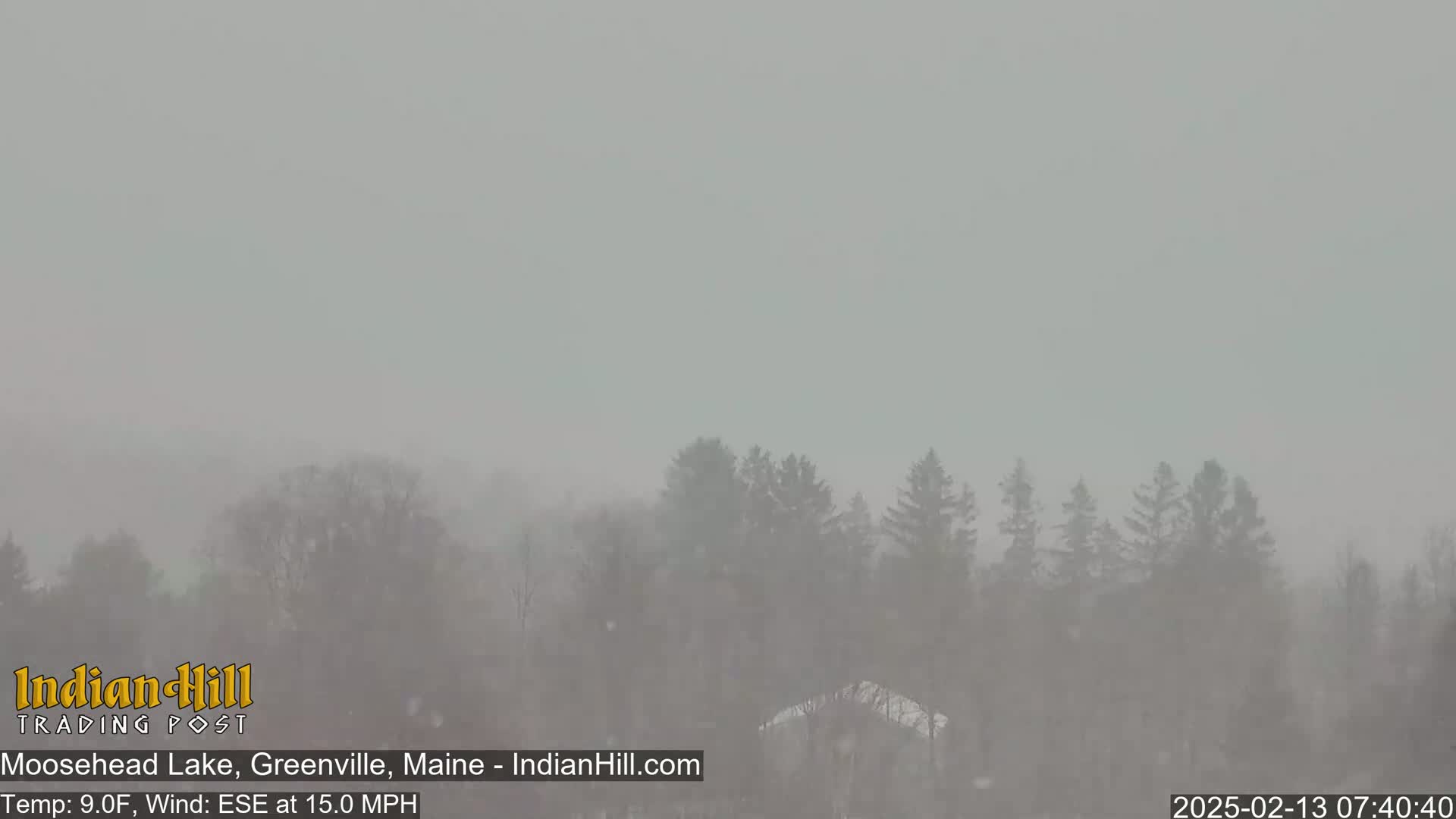 A snowy, hazy scene shows a line of evergreens in the distance under a gray sky with a 15 mph wind.