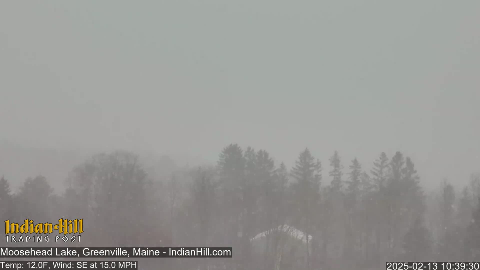 A snow-covered landscape of evergreen trees is visible through a heavy snowfall under a gray sky.