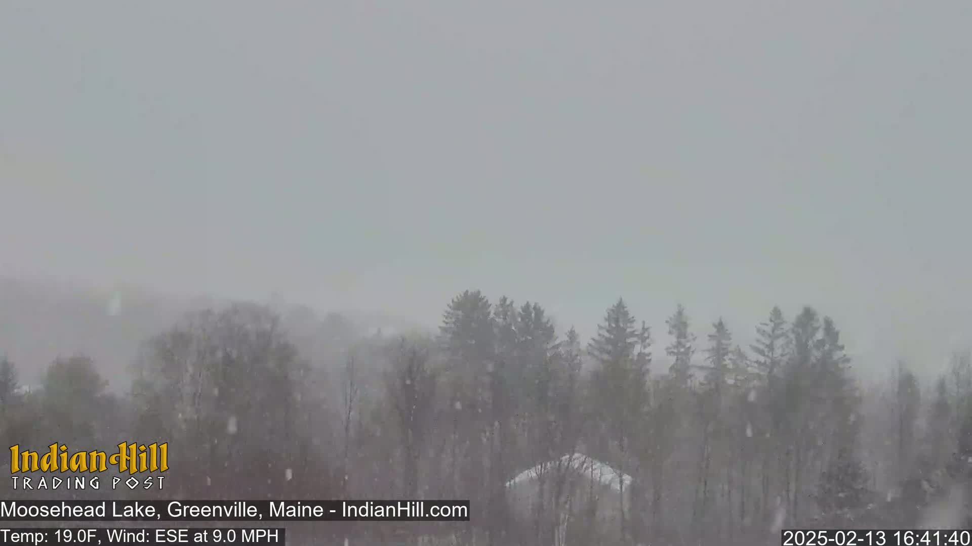 Snow falls heavily over a line of evergreen trees and a building in the distance.