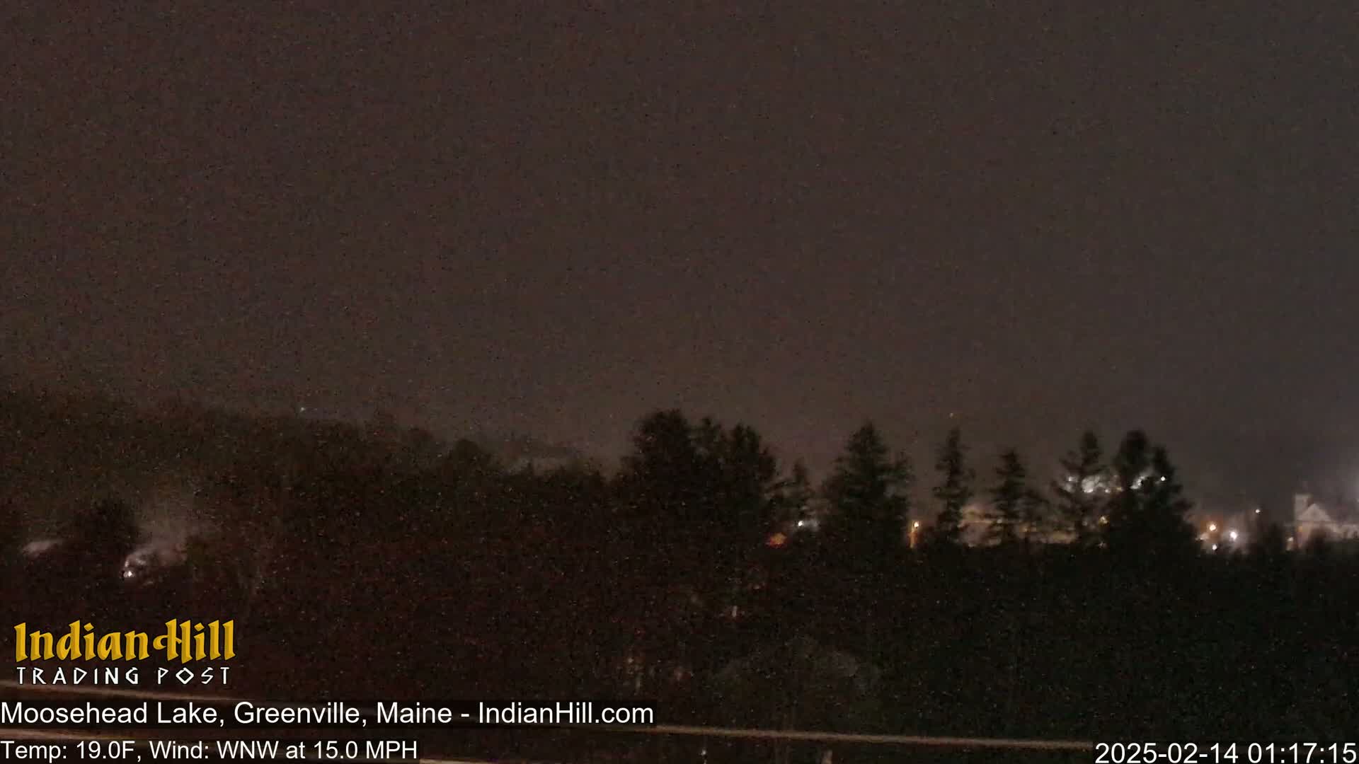 A nighttime view of snow falling over a dark, silhouetted treeline.