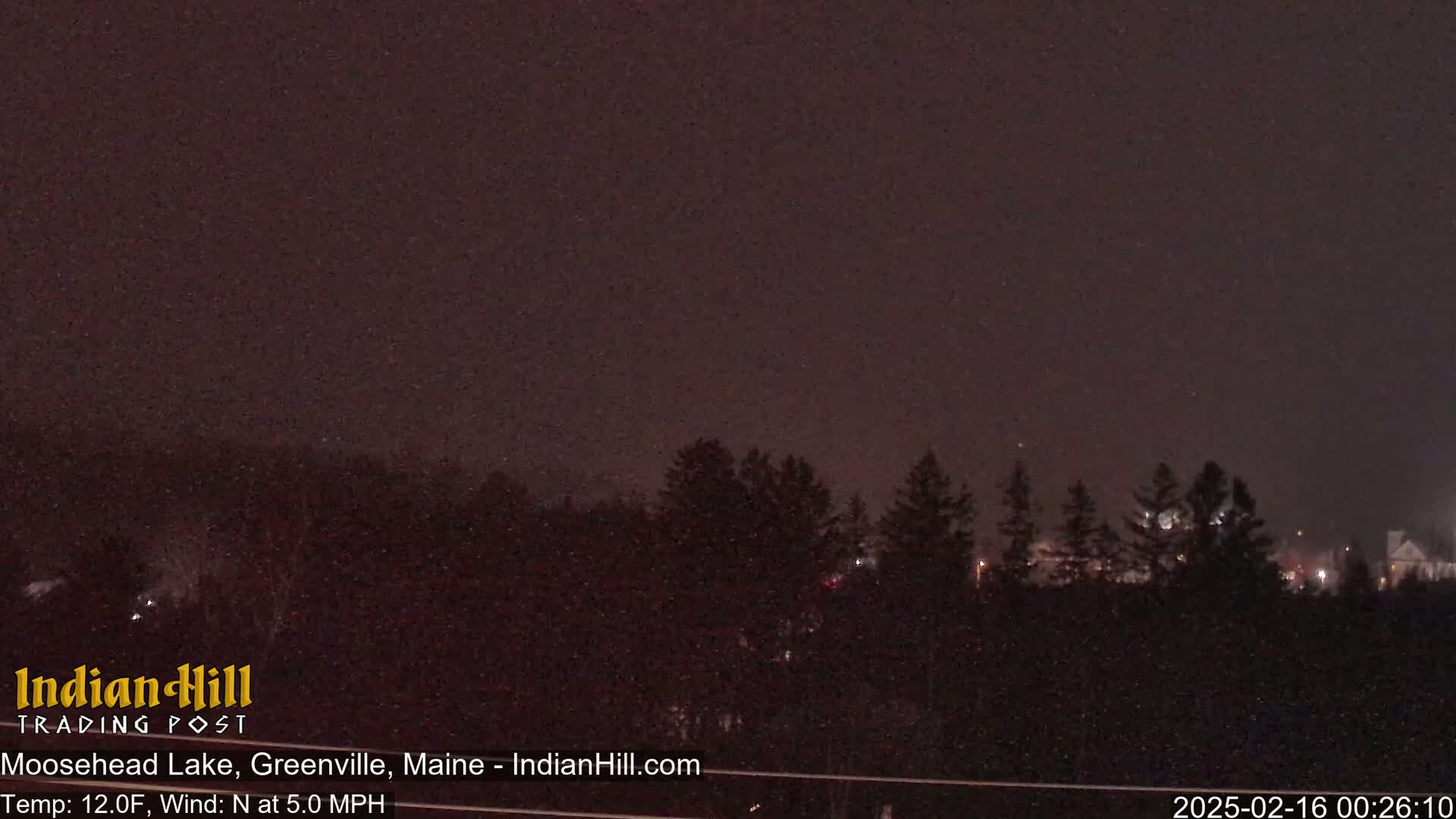A nighttime scene of snow falling over a dark line of trees under a dark sky.