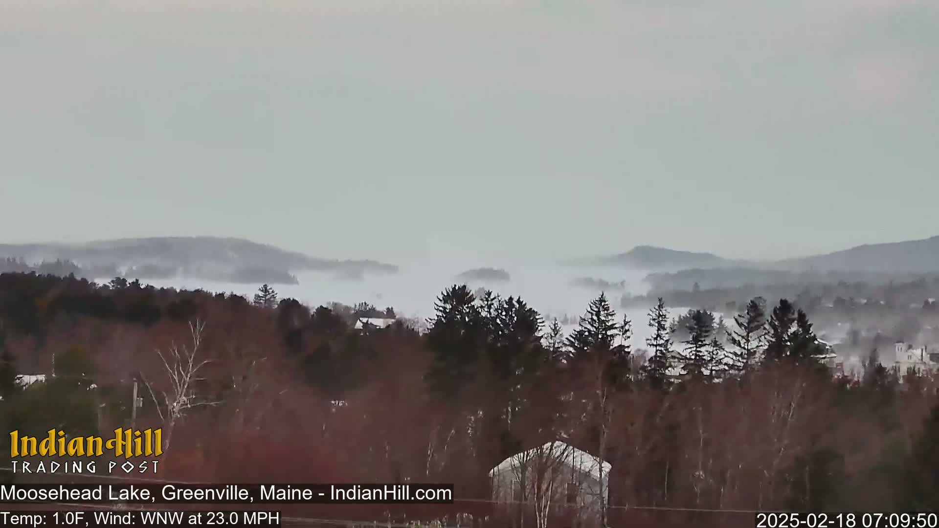 A foggy landscape shows a lake partially obscured by mist, with dark evergreen trees in the foreground and hills in the background, under a gray sky and a strong wind.