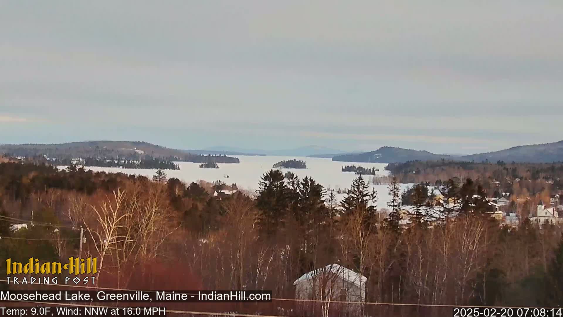 A snow-covered lake stretches to the horizon, bordered by dark, leafless trees and distant mountains under an overcast sky.