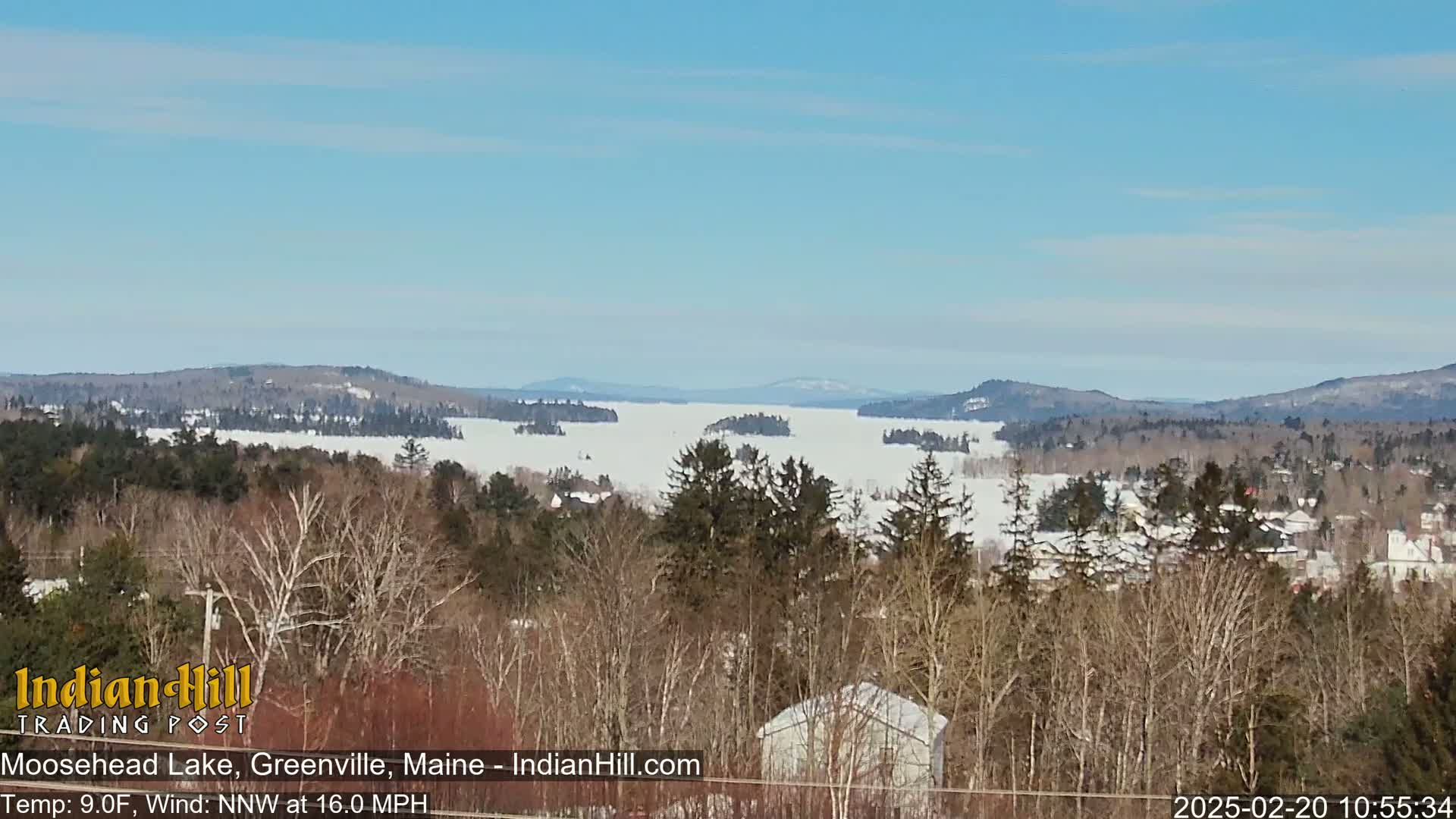 A snow-covered lake stretches to distant mountains under a clear blue sky, viewed from a vantage point amidst bare winter trees.