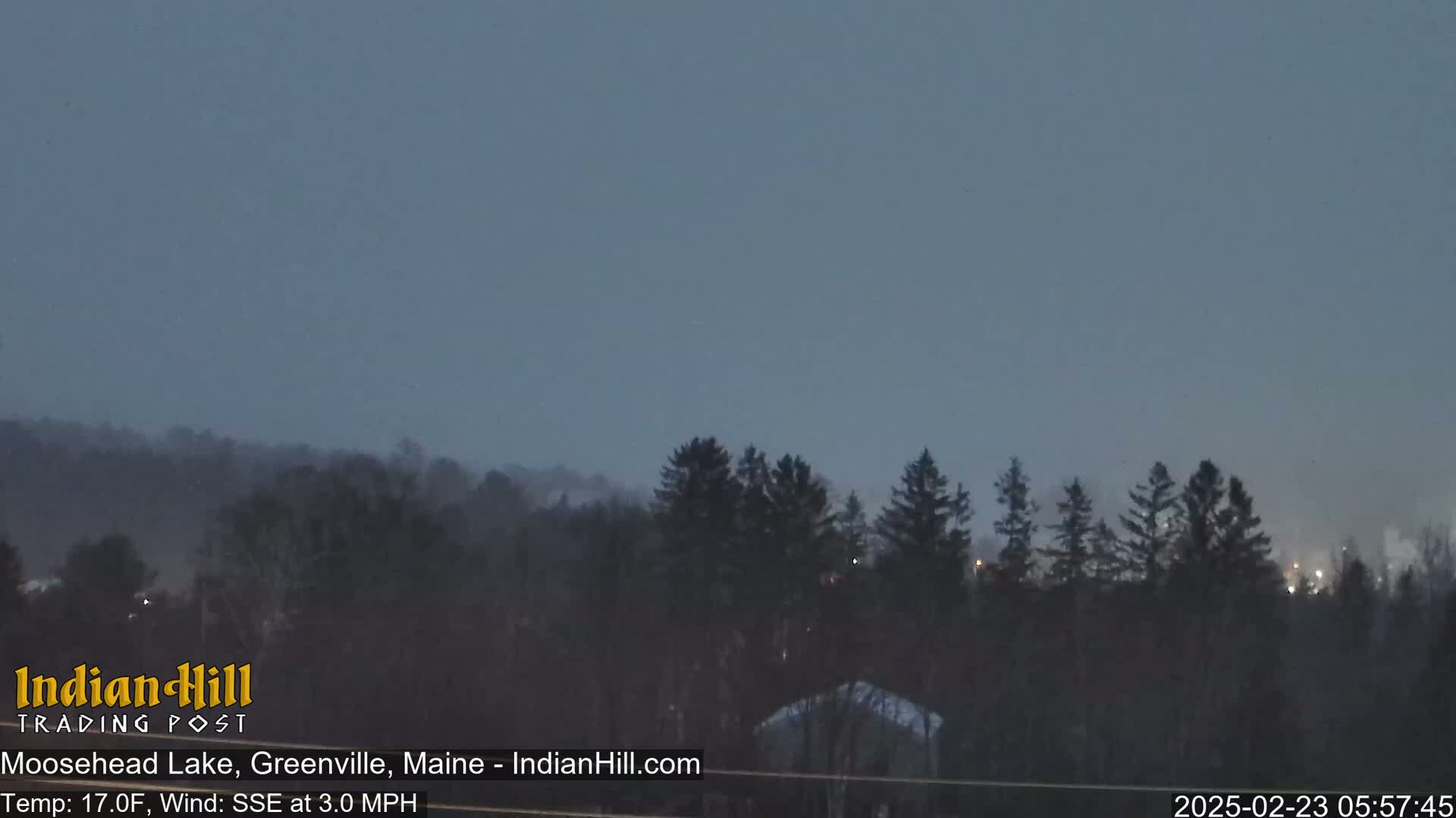 A view of a snow-covered landscape with dark trees under a dim, overcast sky.