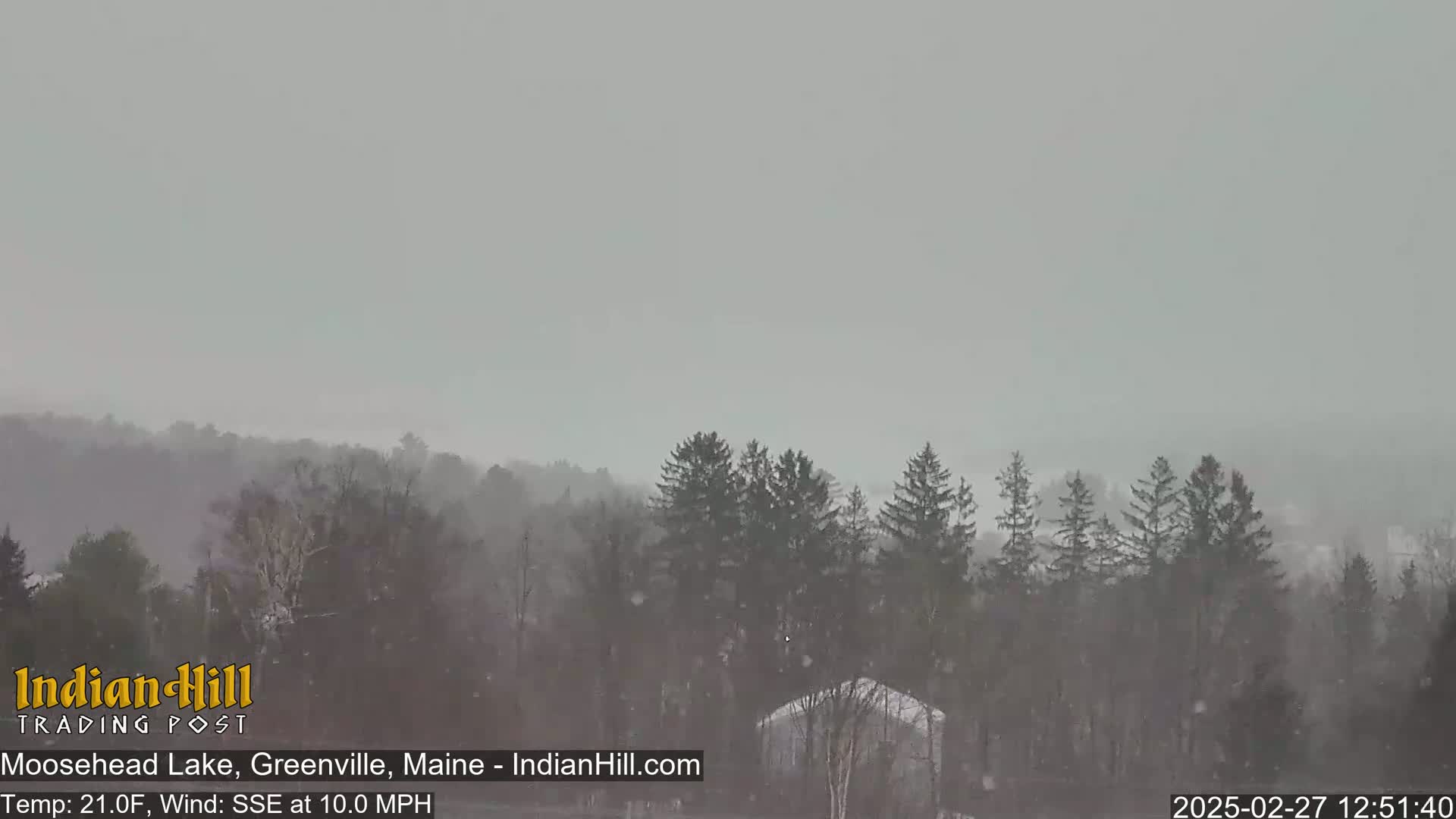 A snowy landscape of dark trees and a single building is visible under a gray, overcast sky.