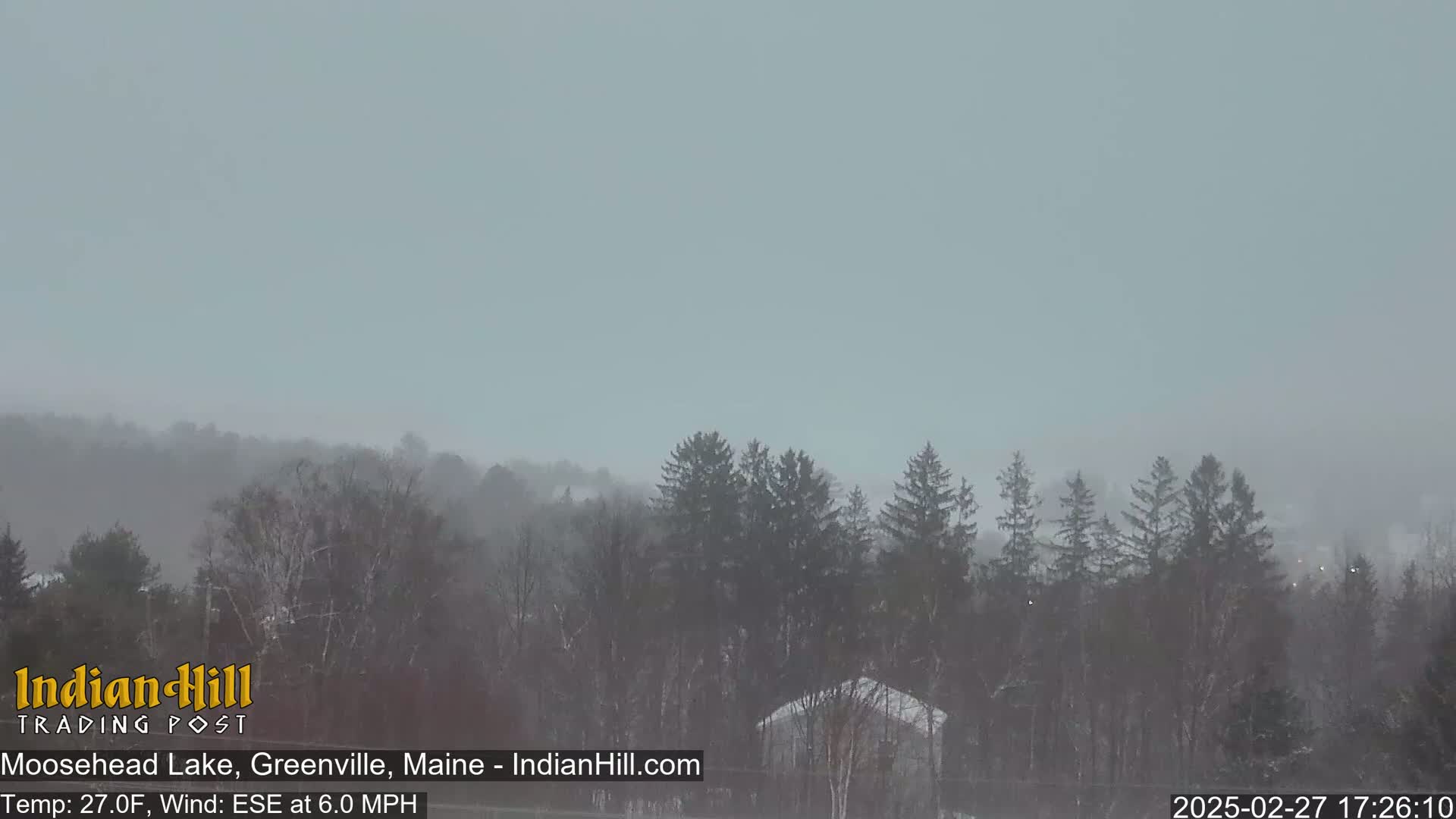 A snow-covered landscape of evergreen trees and a building is visible through a heavy snowfall under a gray sky.