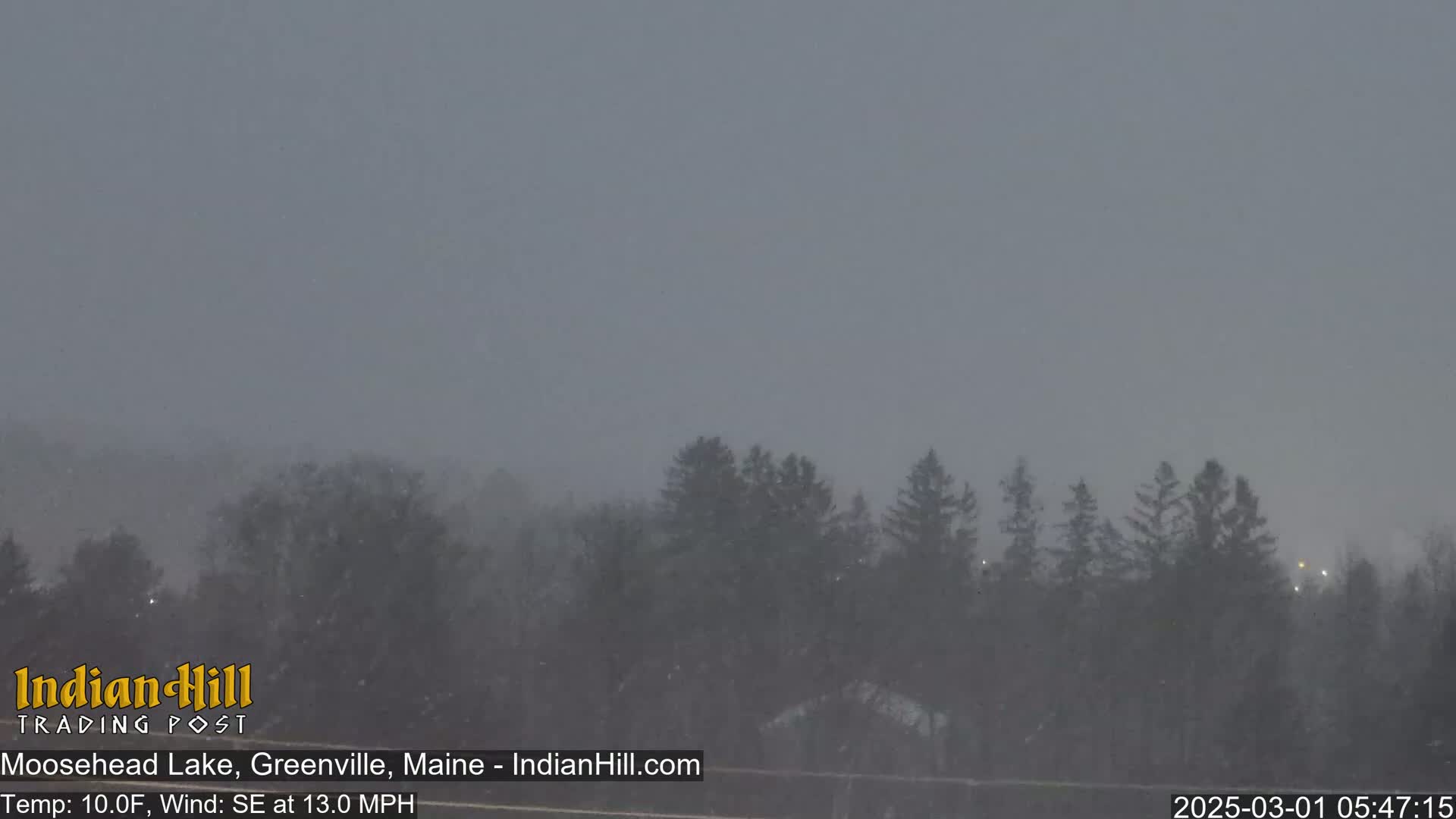 A snowy scene shows a line of evergreen trees in the distance under a gray sky with a southeast wind.