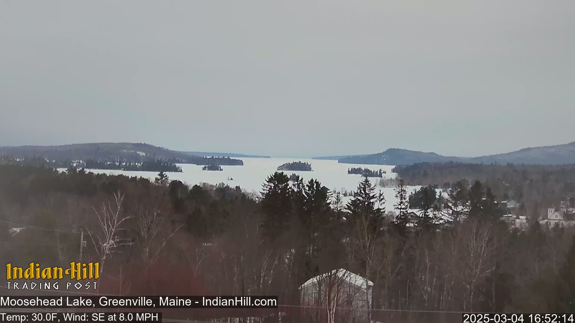 A snow-covered lake with several small islands is viewed from a snowy, wooded hillside under an overcast sky.