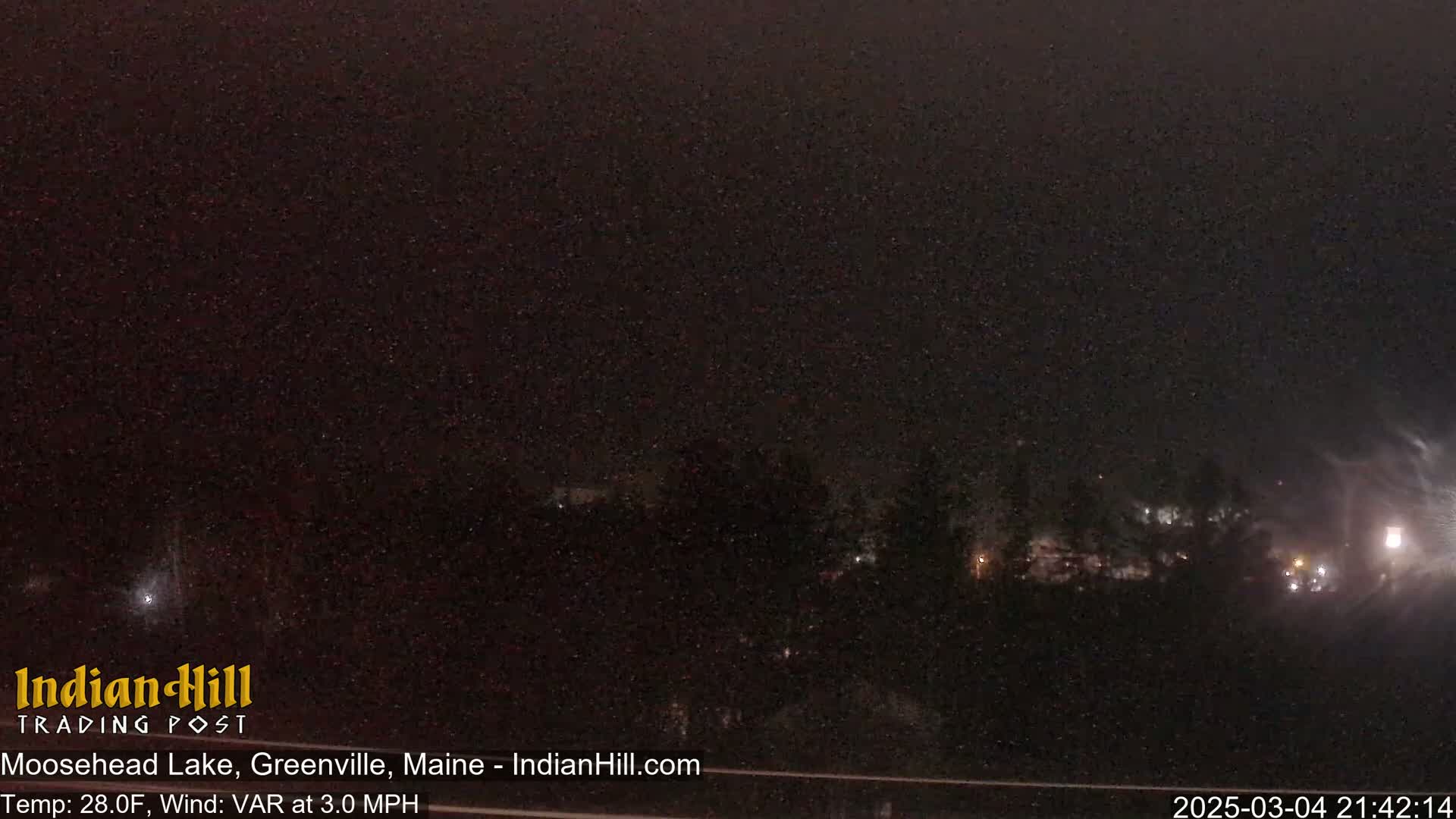 A nighttime, snowy scene shows dimly lit trees and buildings in the distance under a dark sky.