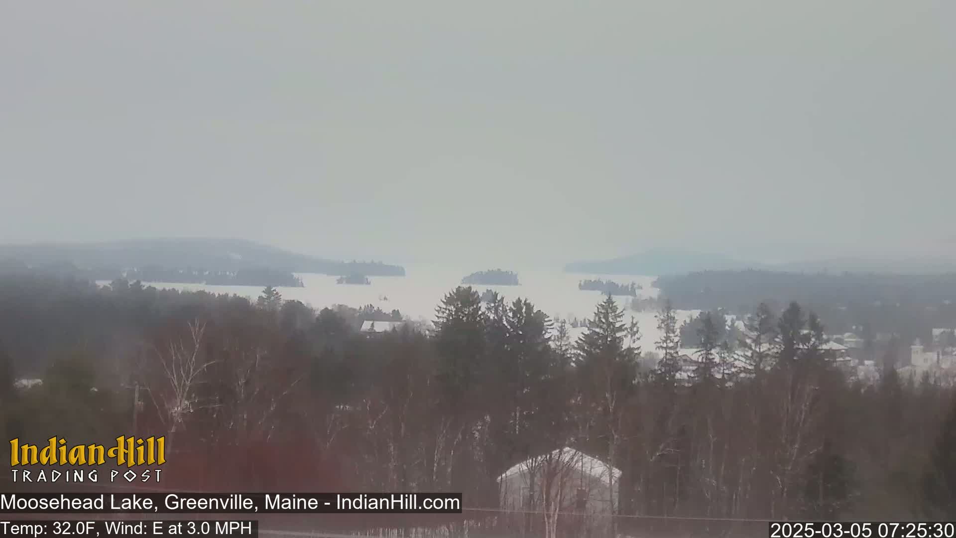 A hazy, snowy view of a lake with several islands and a snow-covered shoreline, seen from a wooded hilltop in the distance.