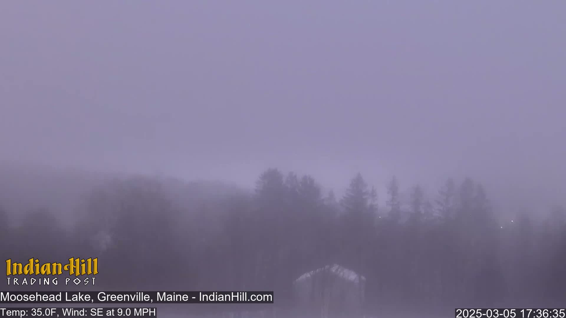 A hazy, foggy landscape shows a line of dark trees in the mid-ground under a pale purple sky.