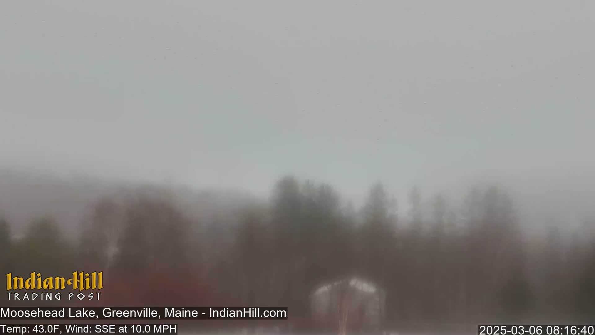 A hazy, overcast view of a wooded area in snowy or foggy conditions.
