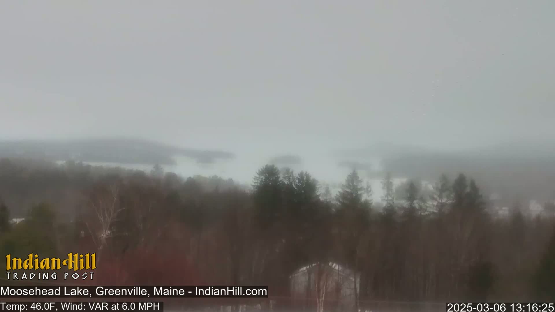 A hazy, foggy view of a lake partially obscured by trees in the foreground.