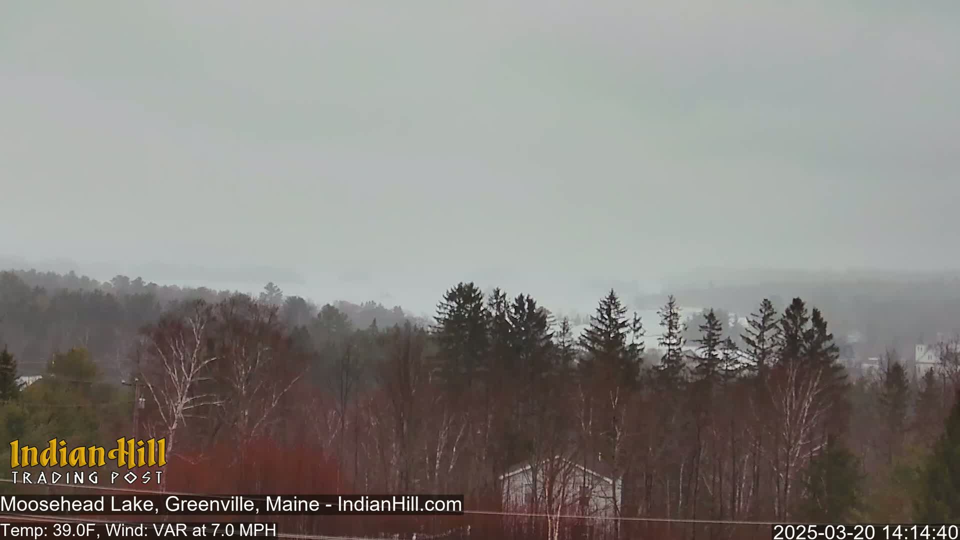 A hazy, overcast view shows a lake in the distance, surrounded by a forest of leafless trees in the foreground, with a few houses visible near the bottom.