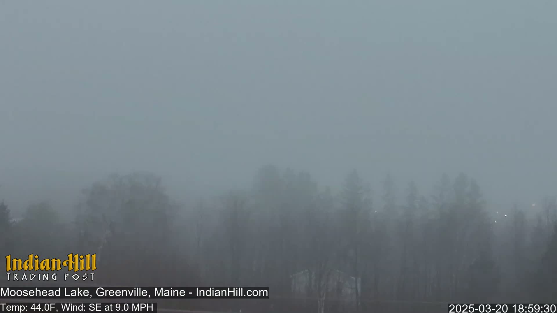 A foggy landscape shows a line of trees and shrubs in the distance under a gray sky with a southeast wind.