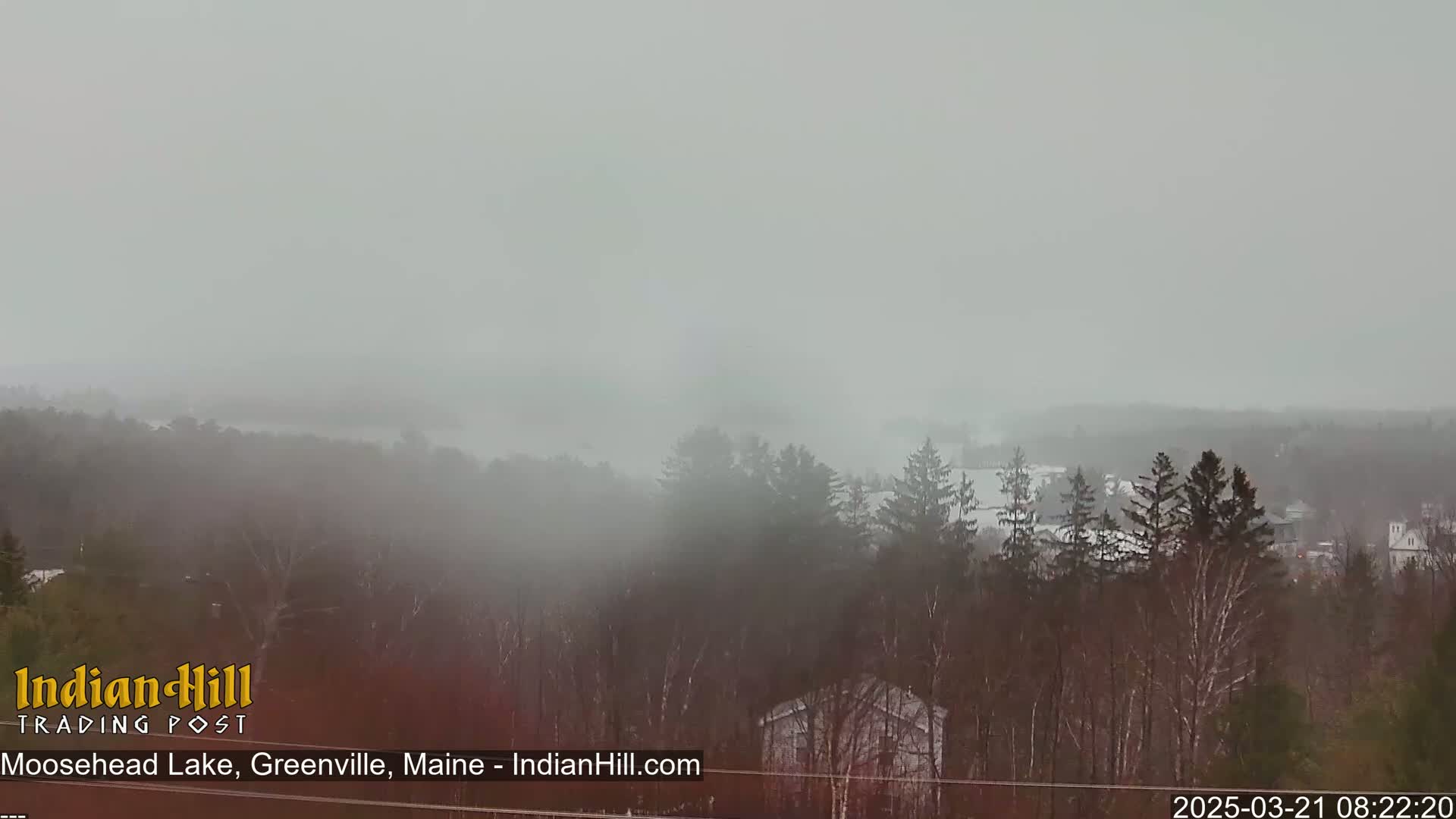 A misty, gray view of a lake and wooded landscape is seen from a distance.